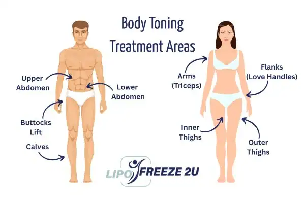 Graphic showing where you can have Body toning Treatment Hertford on your body